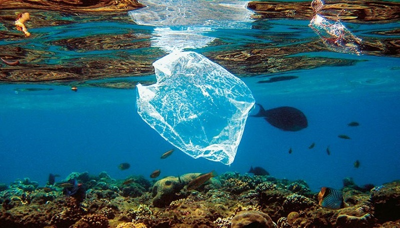 Iles de déchets plastiques : La faute à quoi ou la faute à qui?